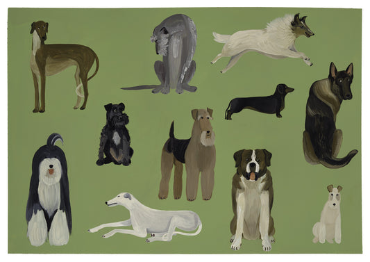 Schnauzer & Co