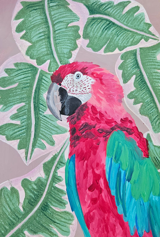 stromanthe parrot