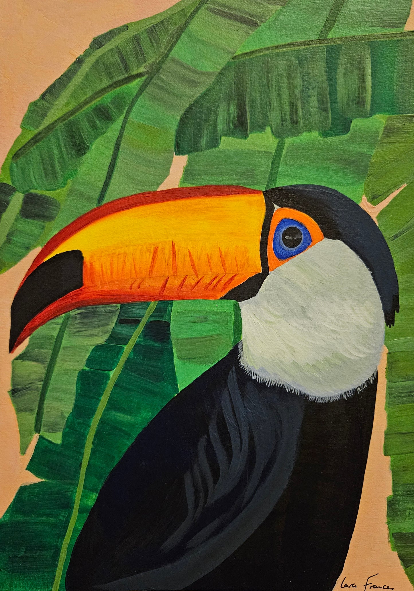 toucan