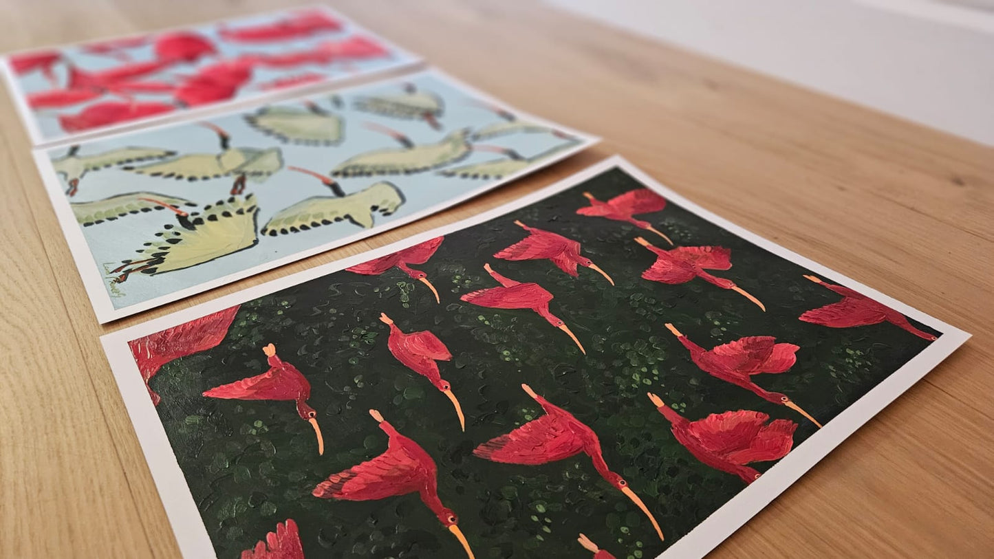 scarlet ibis in emerald canopy