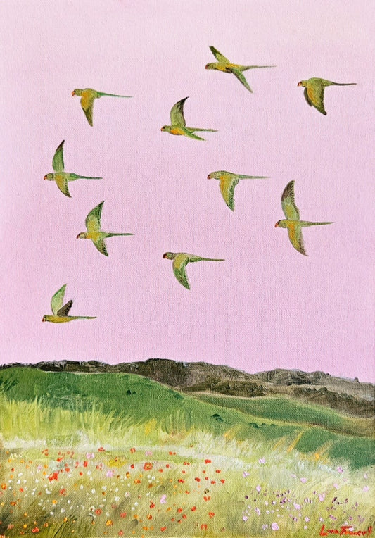 ring-necked parrots in flower fields