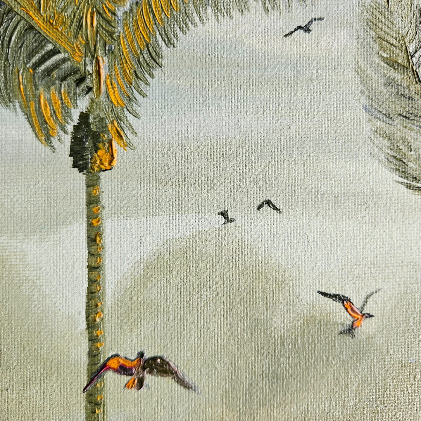 gulls and palms