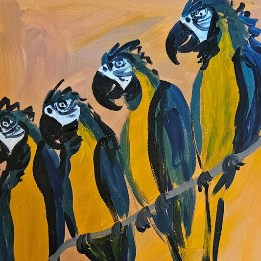 parrots on branch