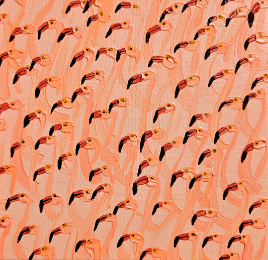 flamingo flock