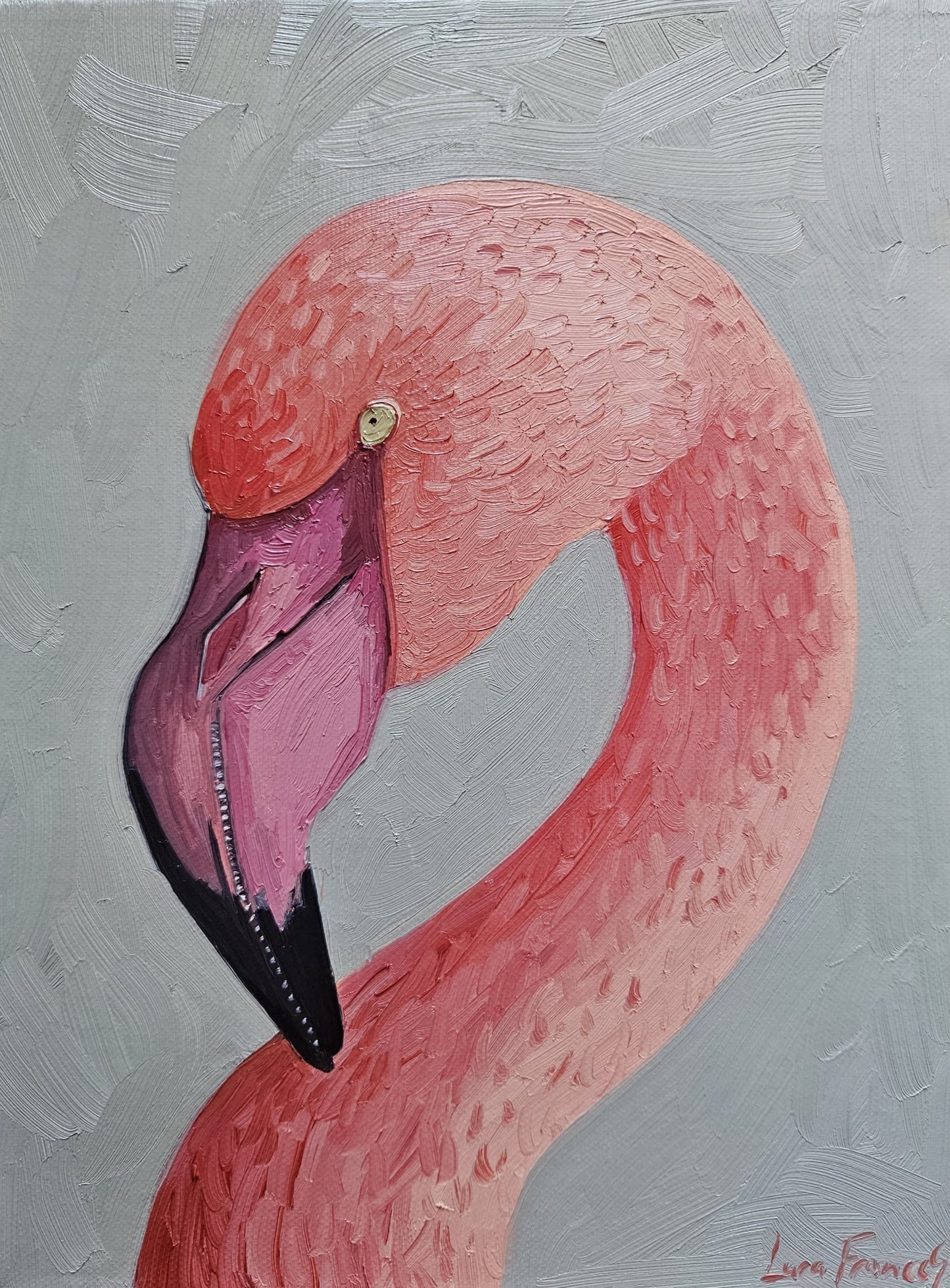 flamingo portrait