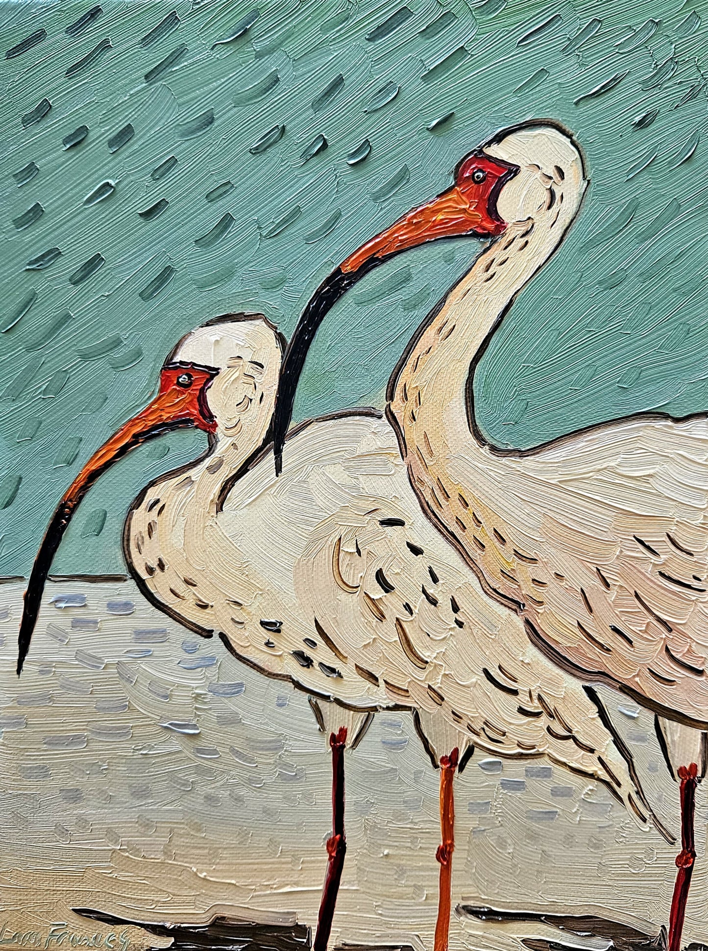 ibis on beach