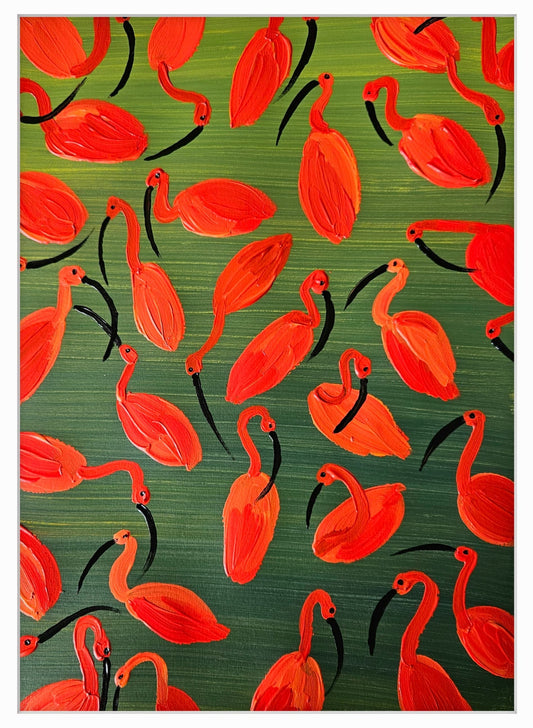 scarlet ibis flock
