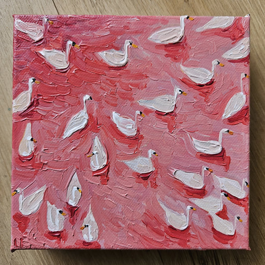 mini swimming ducks in pink