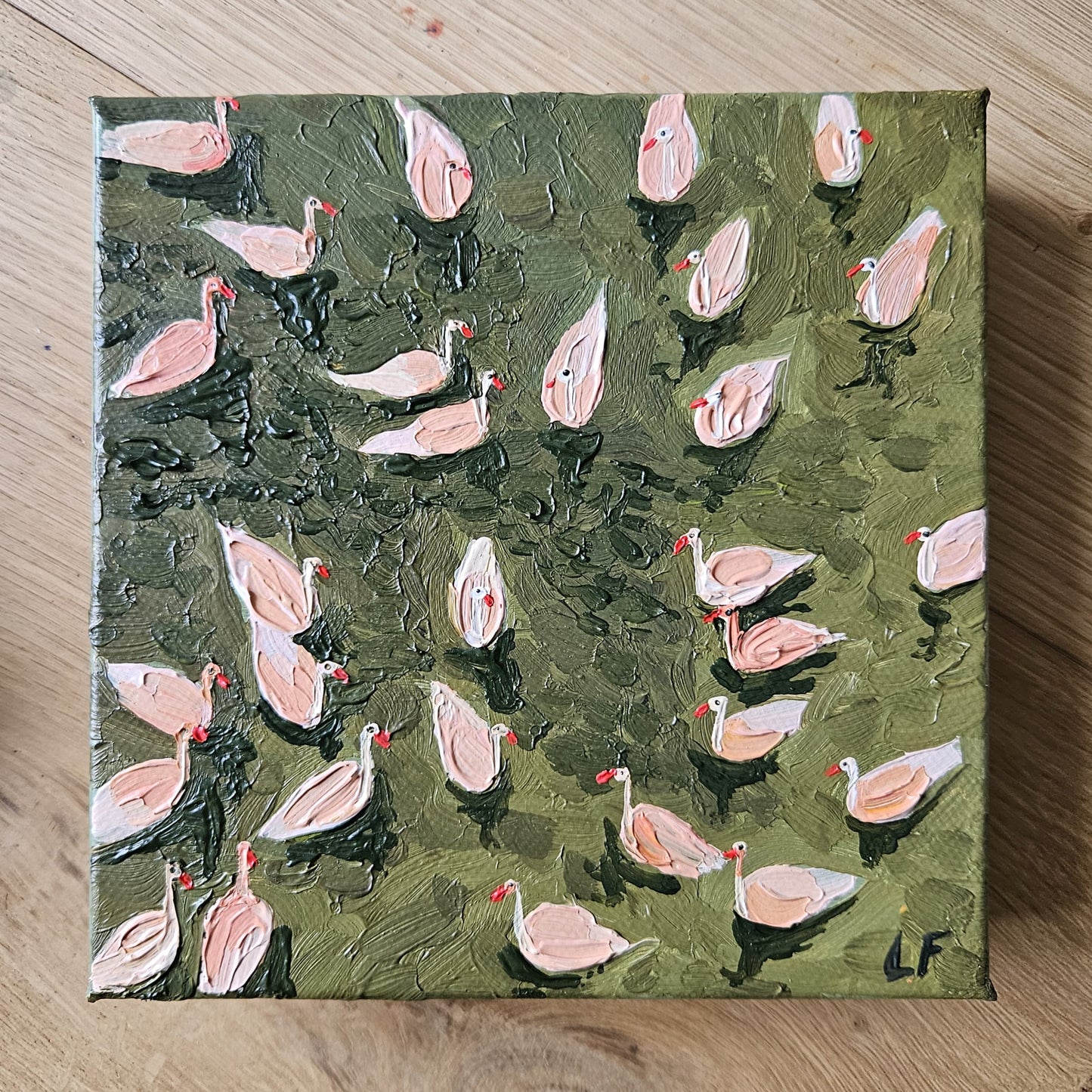 mini swimming ducks in olive