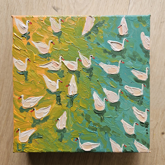 mini swimming ducks in ocean