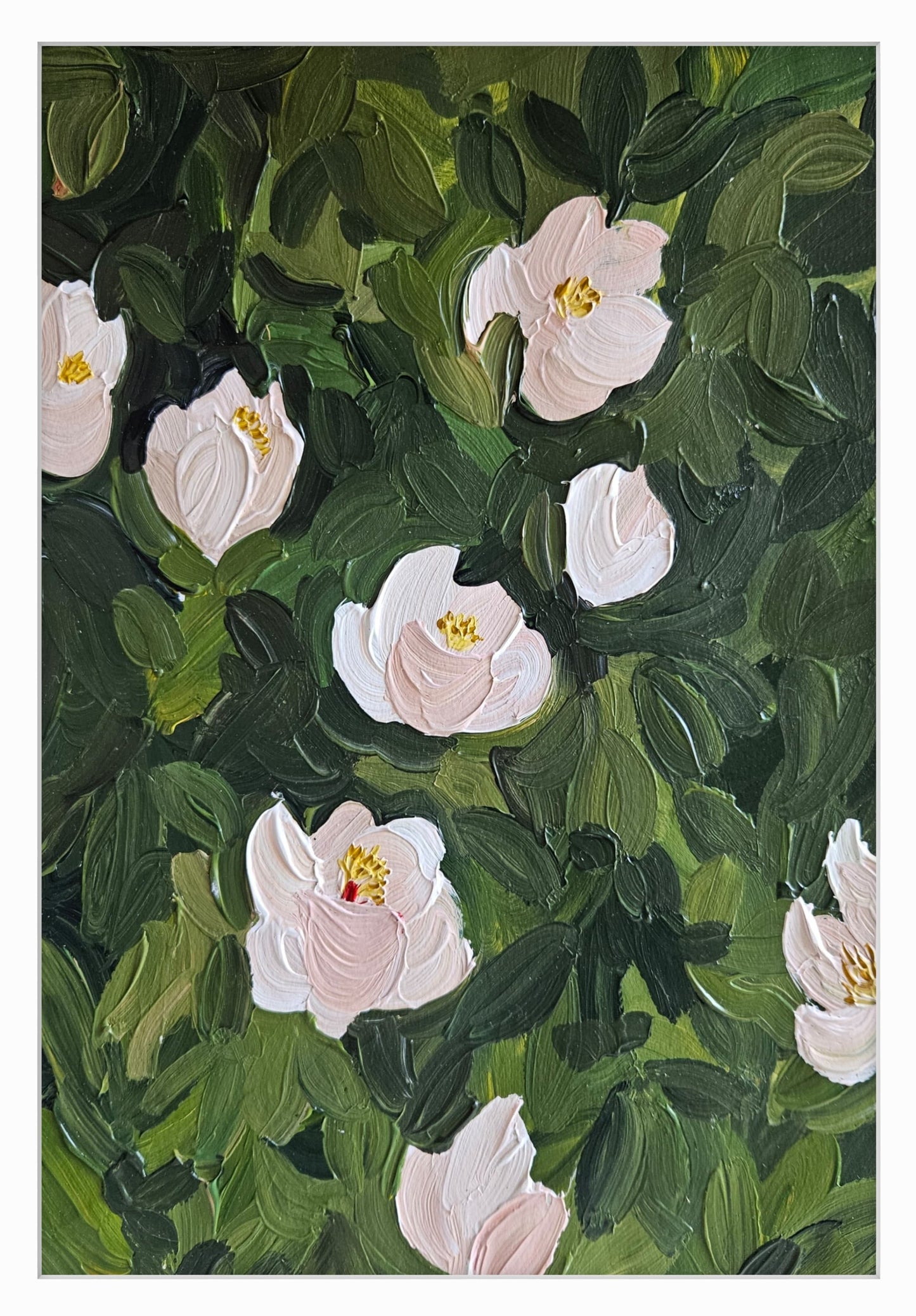 magnolia V