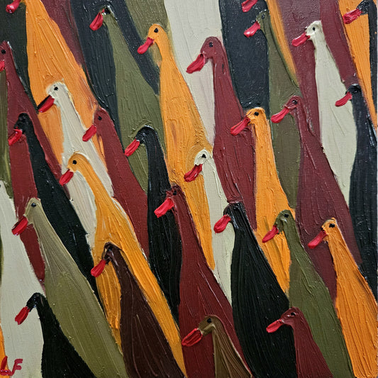 red beak runner ducks