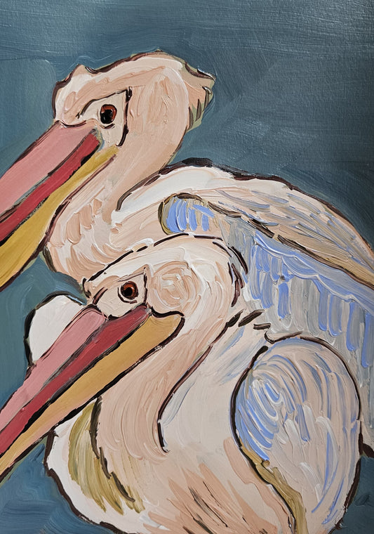 pelican study II