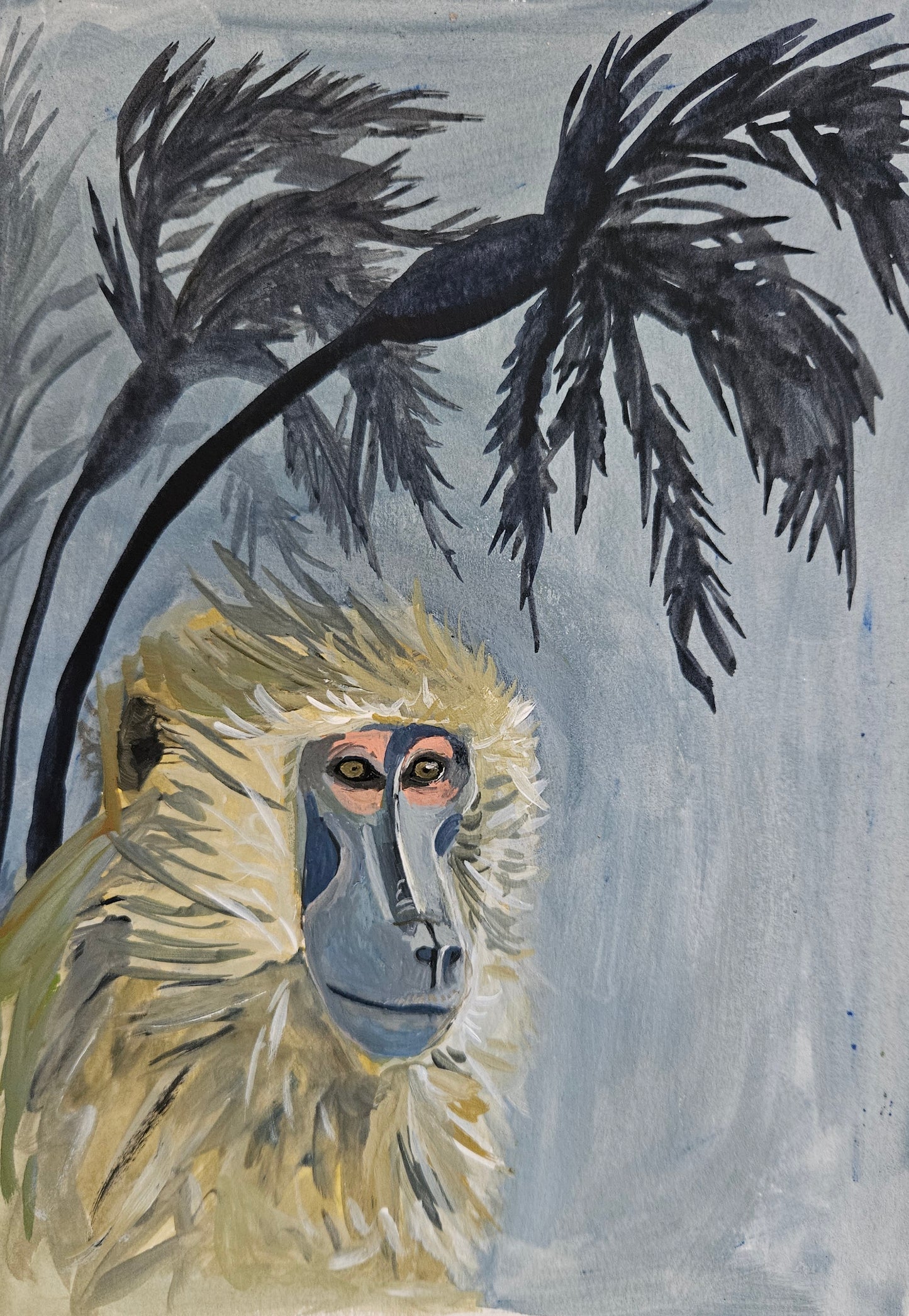 windswept baboon (framed)