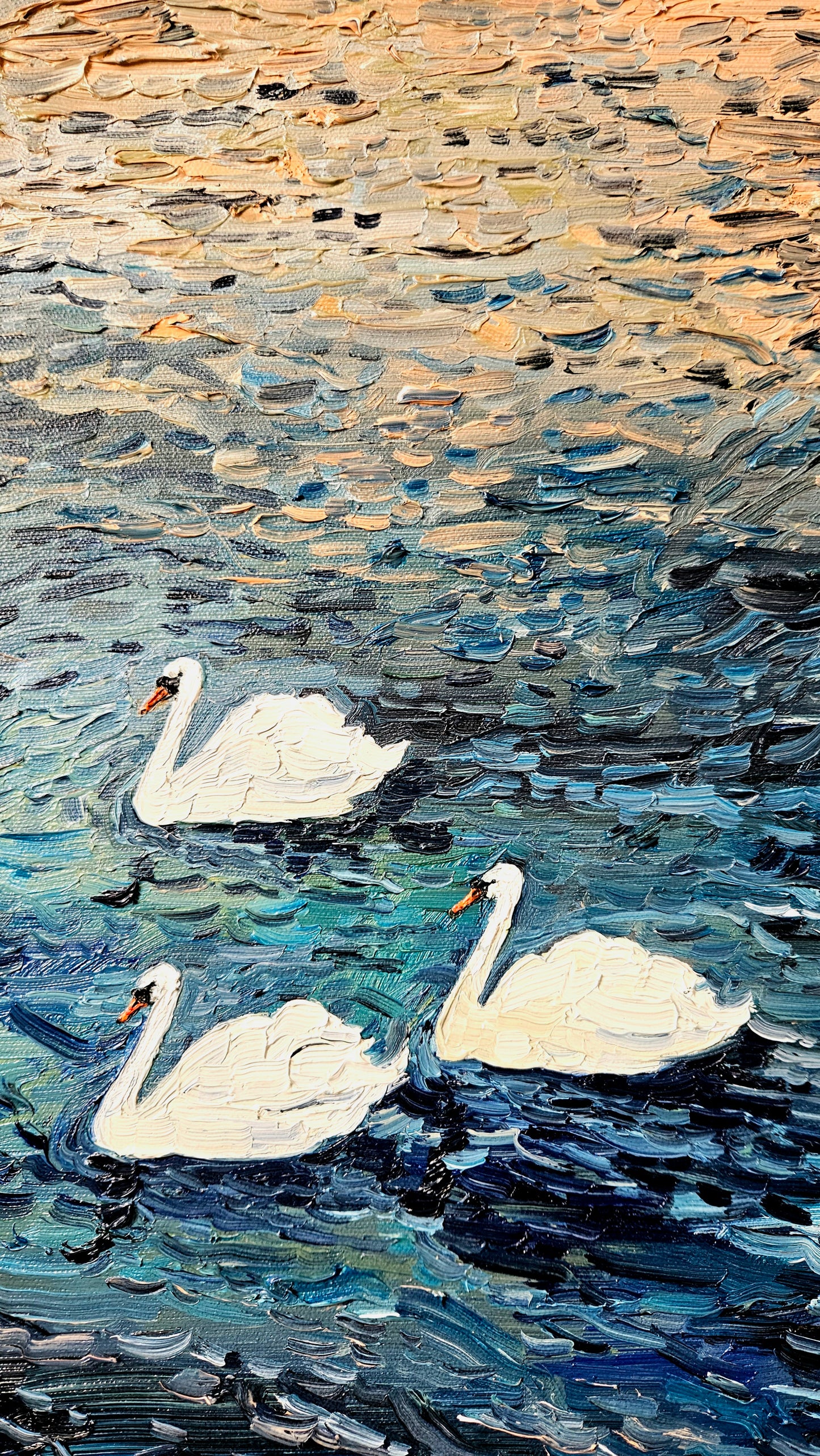 3 drifting swans