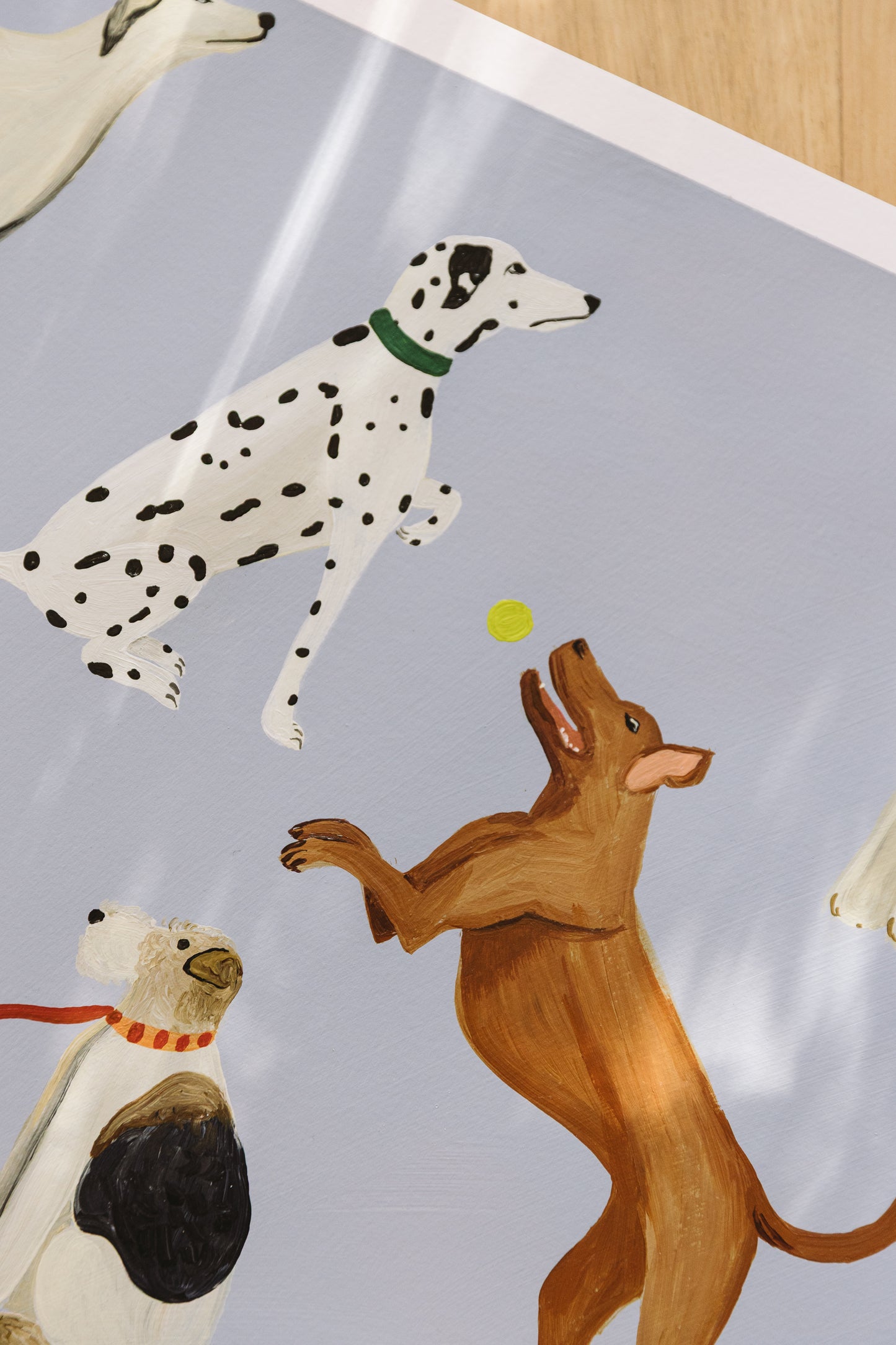 Vizsla & Co