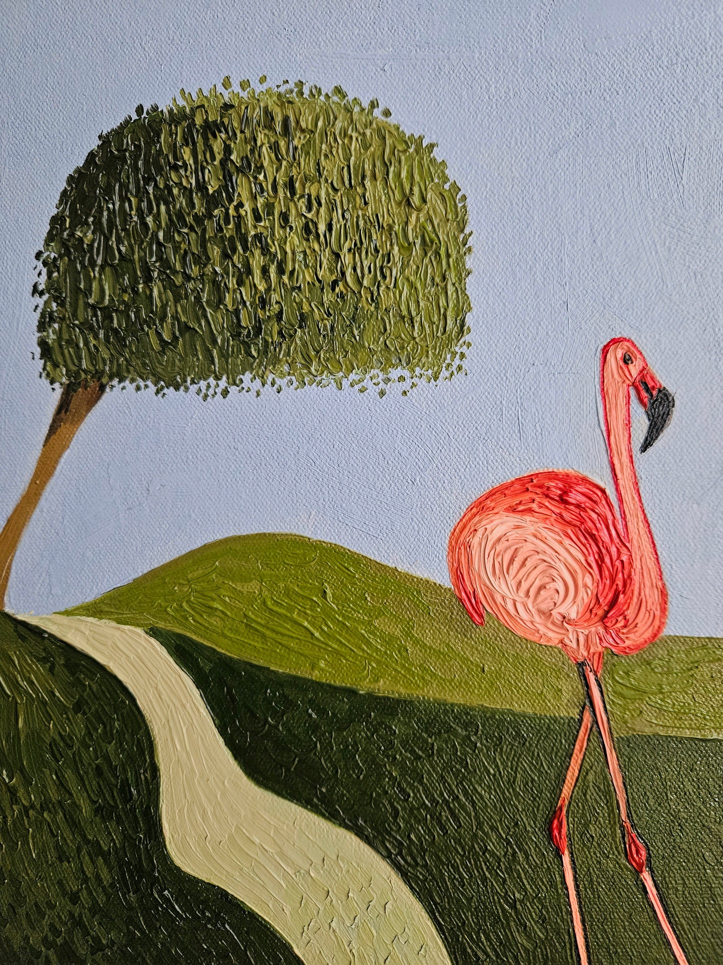The Flamingo Duo