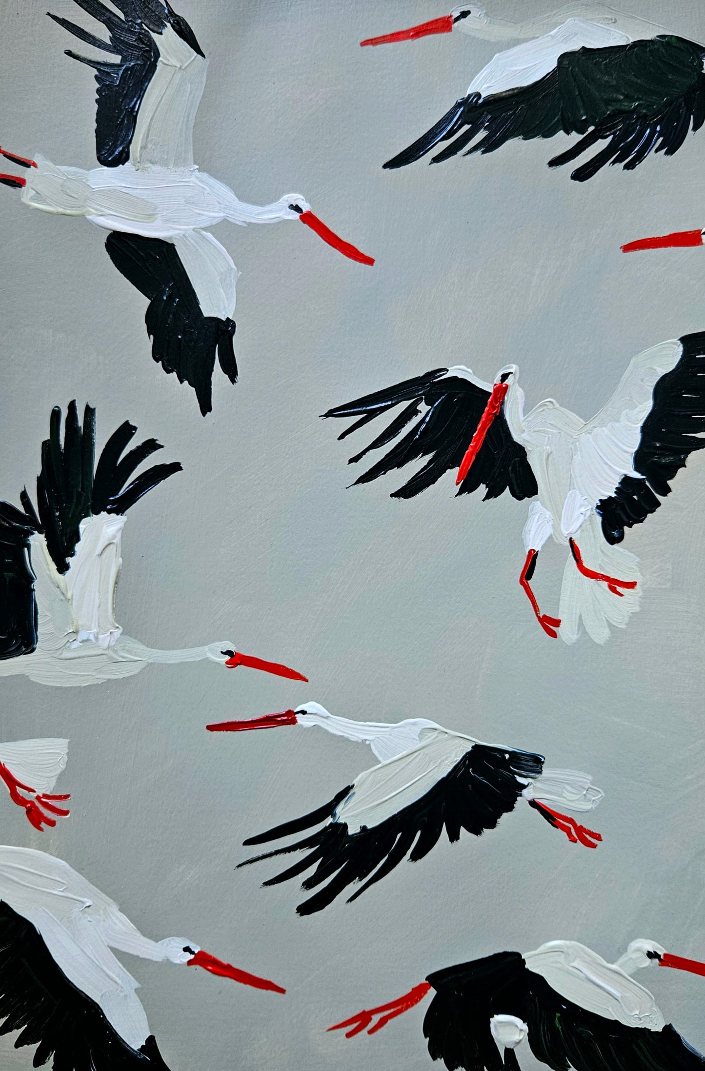 white storks in flight