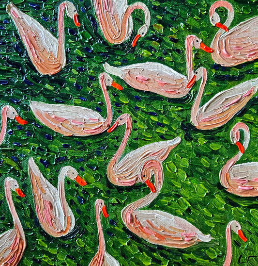 swimming ducks in green pond