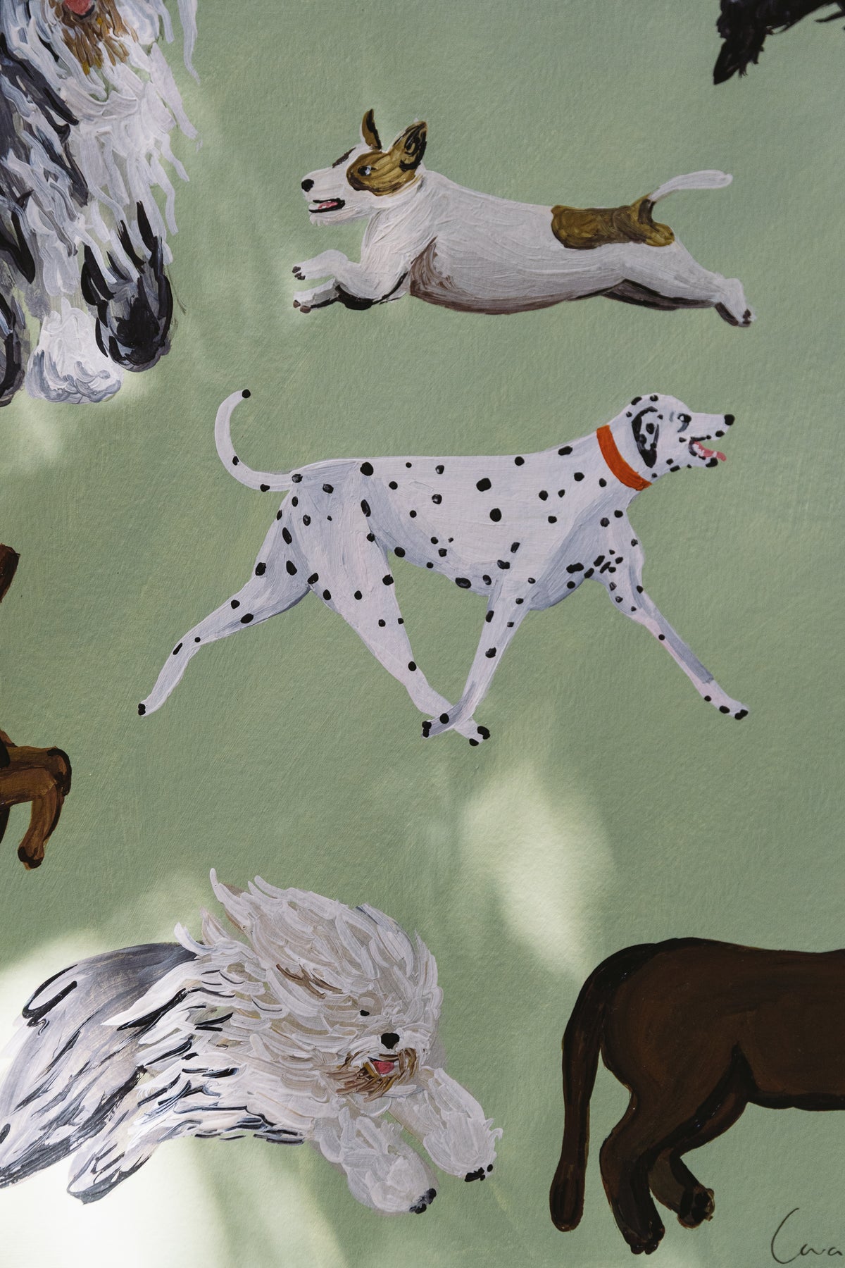 Sheepdog & Co