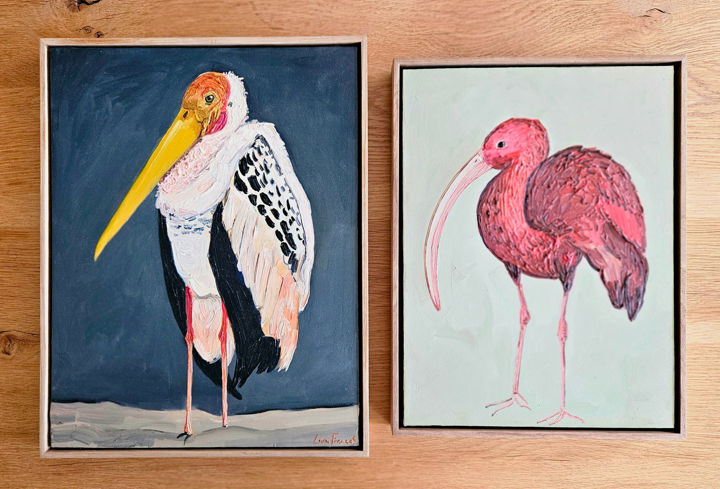 scarlet ibis