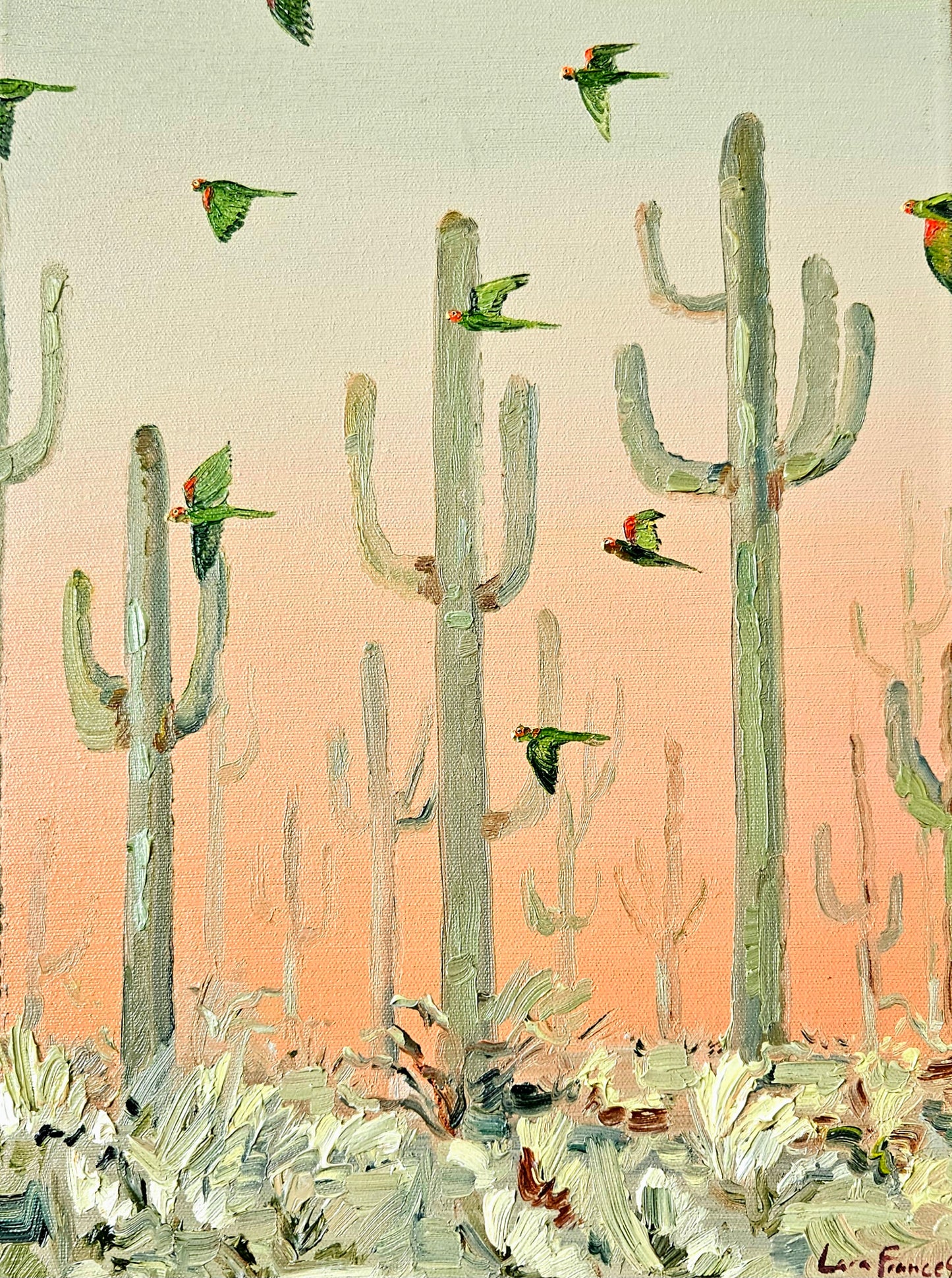 desert parrots