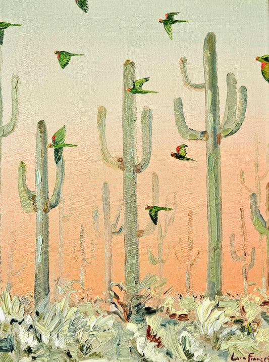 desert parrots