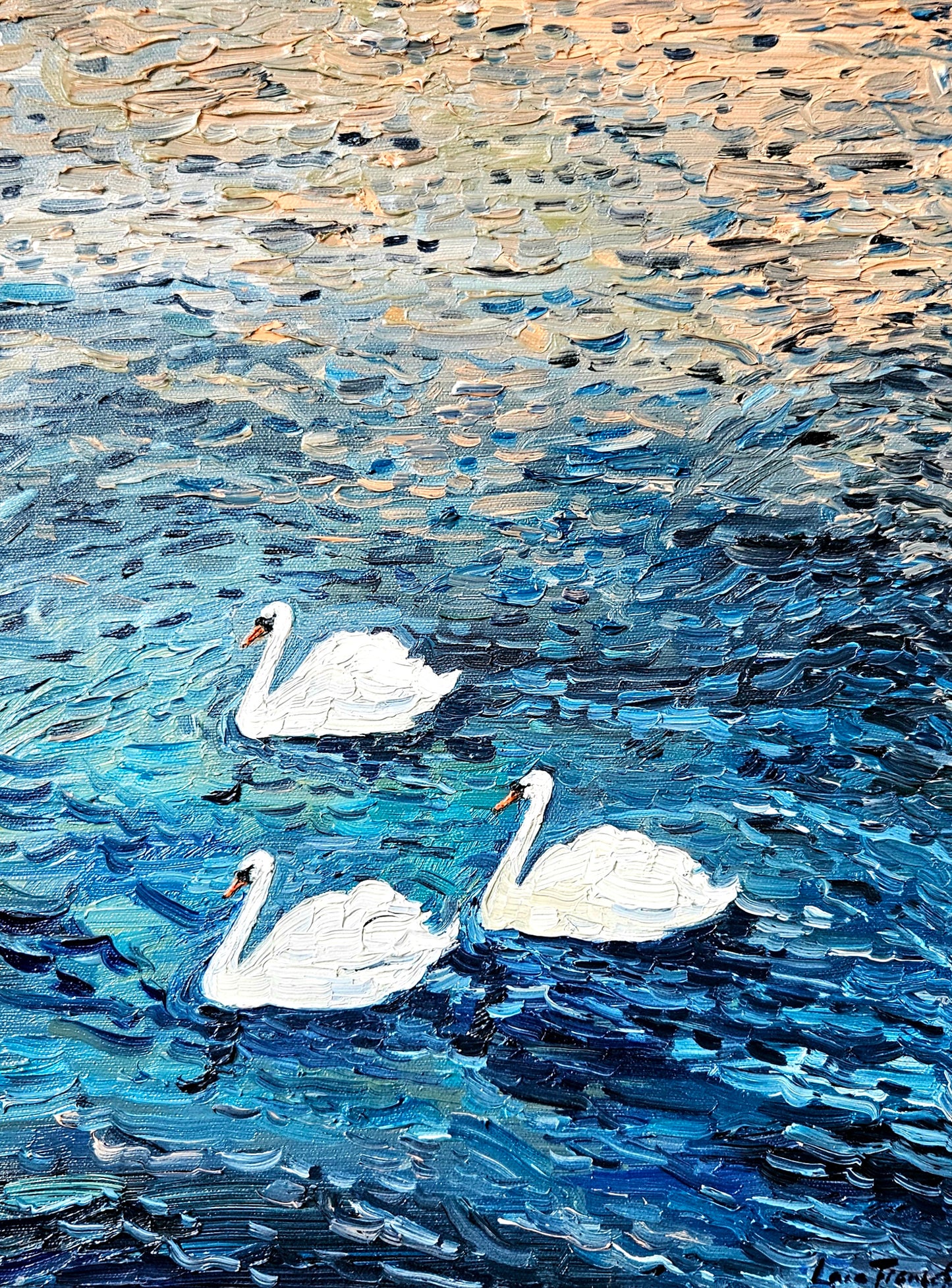 3 drifting swans
