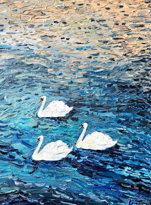 3 drifting swans