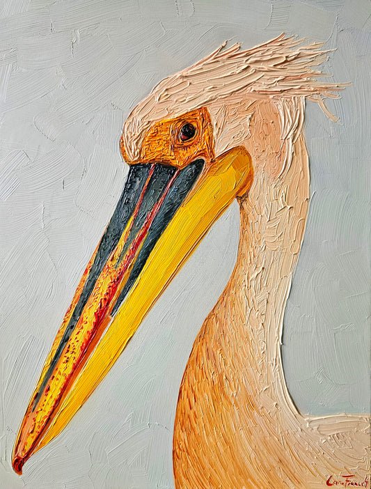 Pelican Portrait
